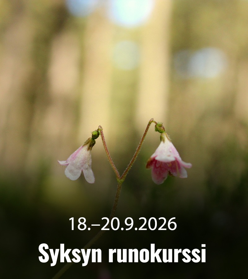 RAAMATTUOPISTO 2026 Runokurssi 800x900